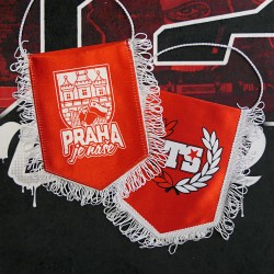 Vlaječka Praha