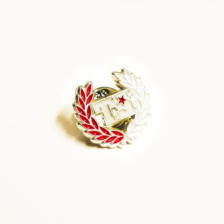 Odznáček pin